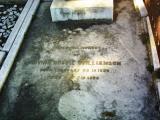 image of grave number 455951